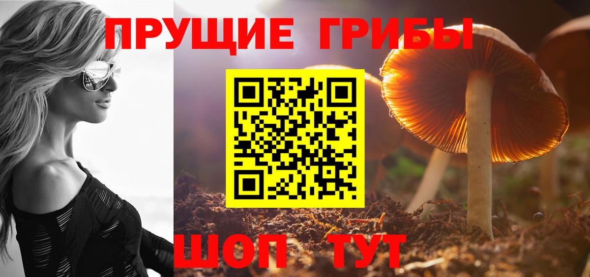 Менделеевск  Псилоцибиновые грибы прущие грибы  купить наркотики сайты  Вход с VPN 